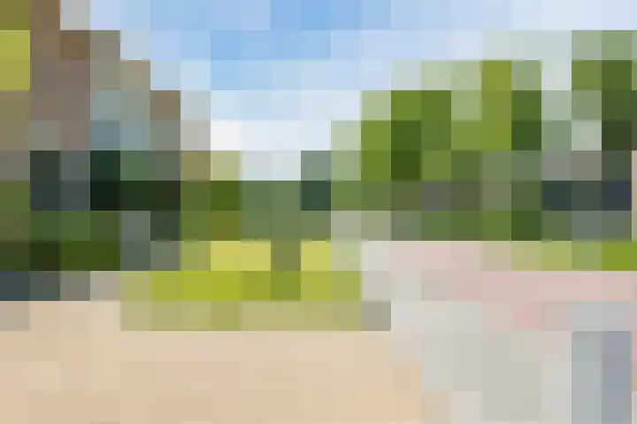 Boringshof 4 Zuidlaren thumbnail 8