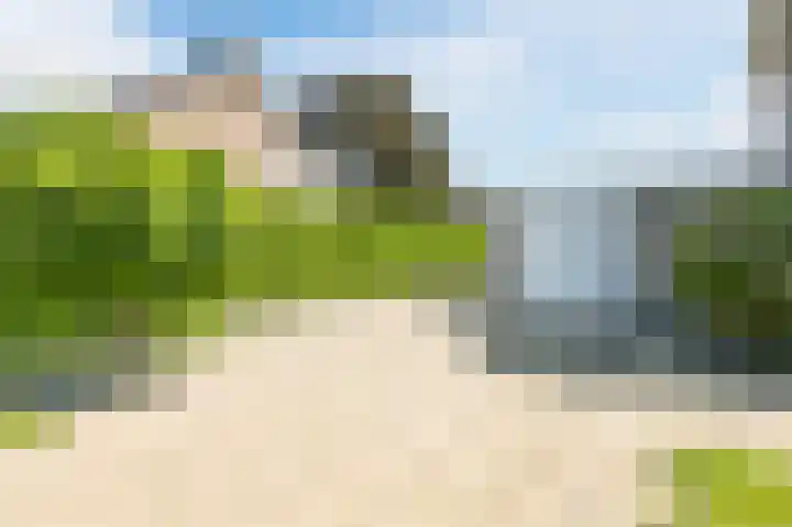 Boringshof 4 Zuidlaren thumbnail 9