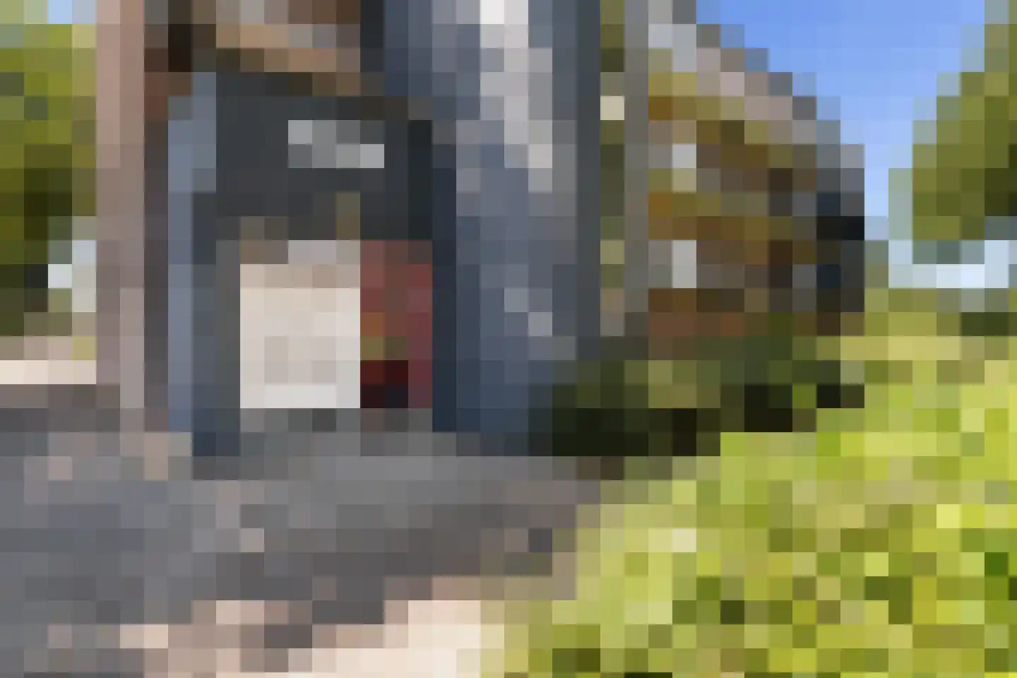 Boris Pasternak-erf 4 Dordrecht thumbnail 4