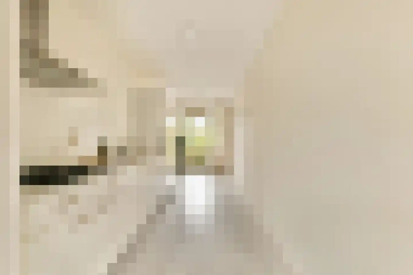 Boris Pasternakstraat 367 Amsterdam thumbnail 11