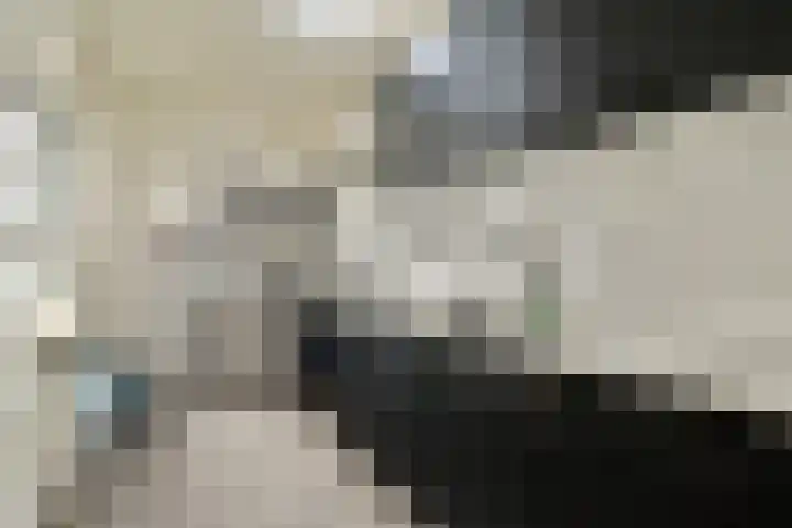 Boris Pasternakstraat 401 Amsterdam thumbnail 12