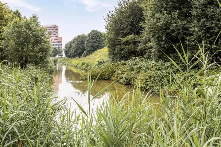 Boris Pasternakstraat 429 Amsterdam thumbnail 24