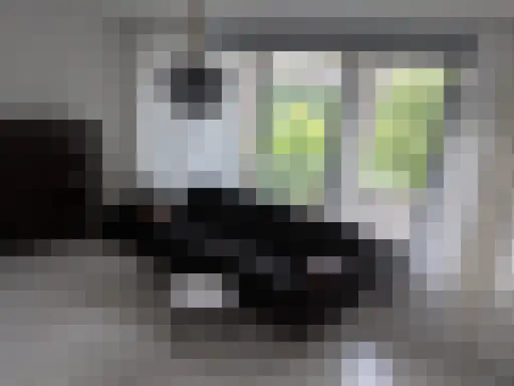 Boris Pasternakstraat 451 Amsterdam foto 3