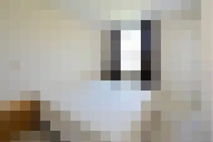 Boris Pasternakstraat 461 Amsterdam thumbnail 12