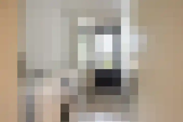 Boris Pasternakstraat 475 Amsterdam thumbnail 16