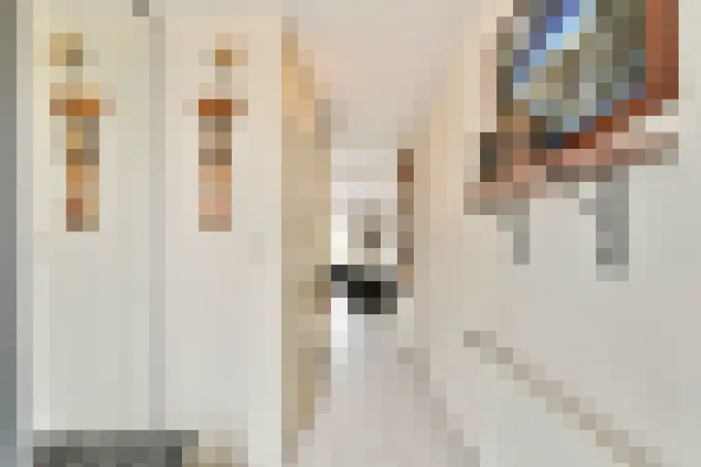 Boris Pasternakstraat 54 Rotterdam thumbnail 15
