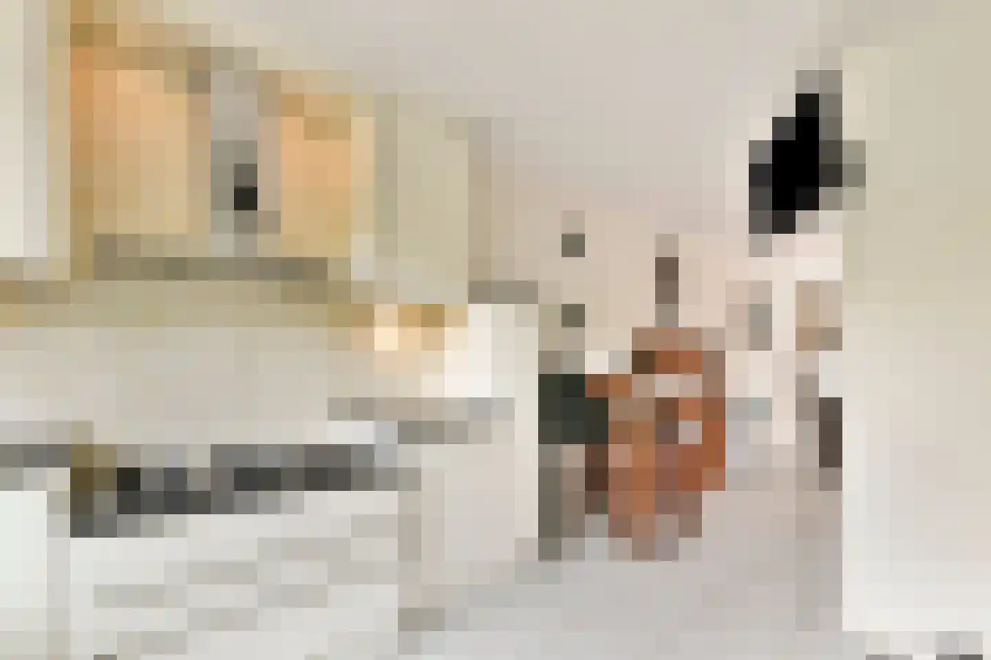Boris Pasternakstraat 54 Rotterdam thumbnail 20