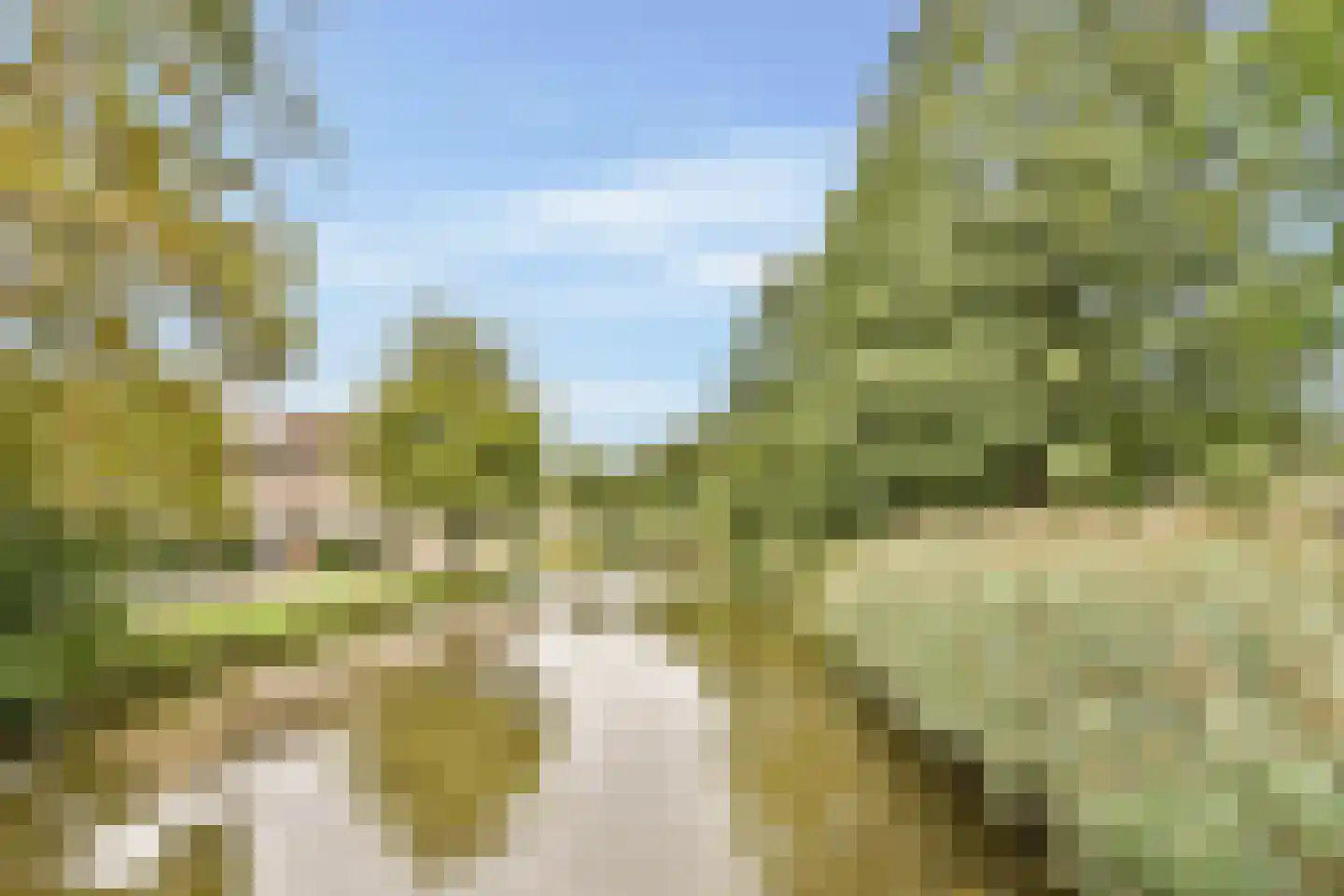 Boris Pasternakstraat 54 Rotterdam thumbnail 32