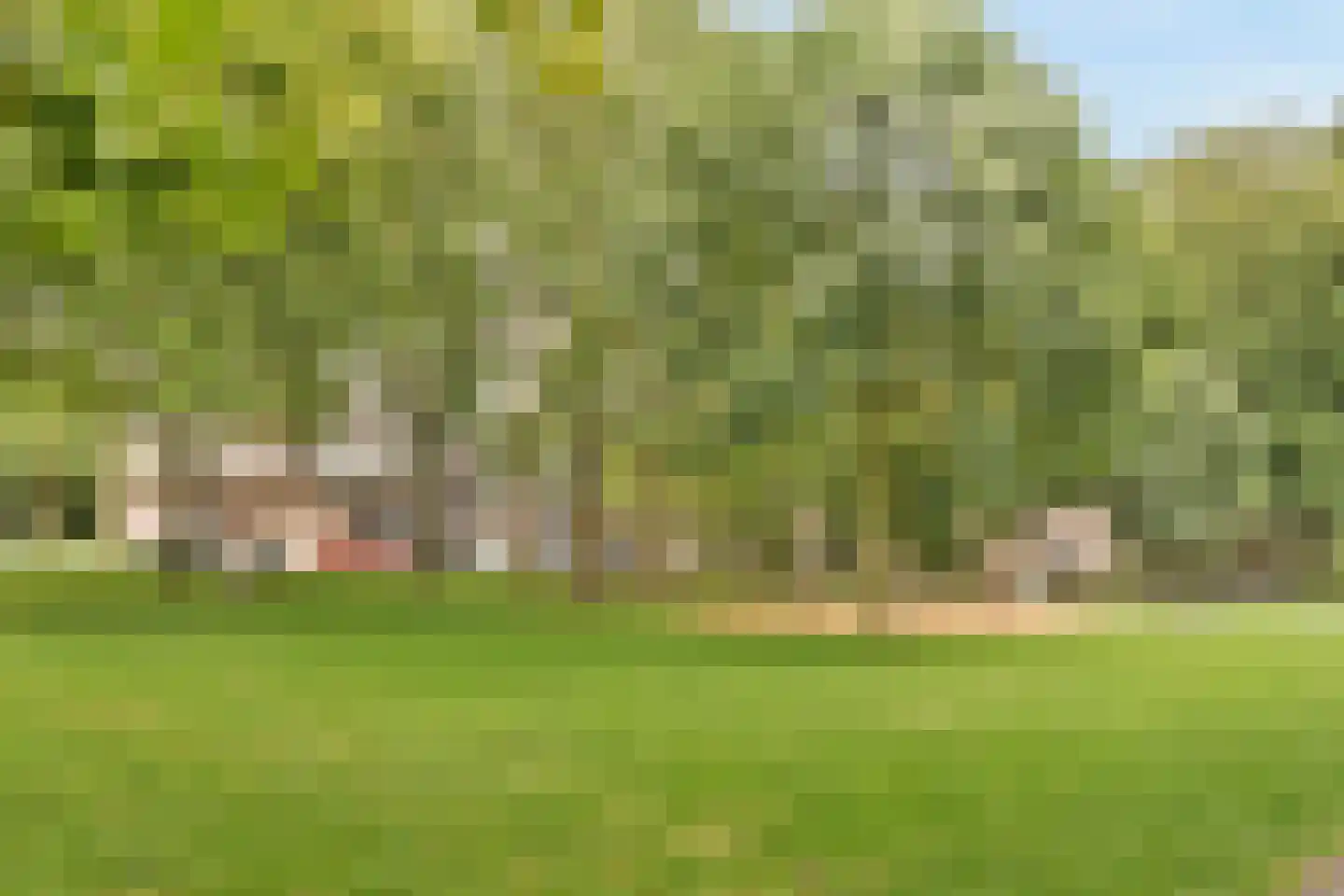 Boris Pasternakstraat 54 Rotterdam thumbnail 33