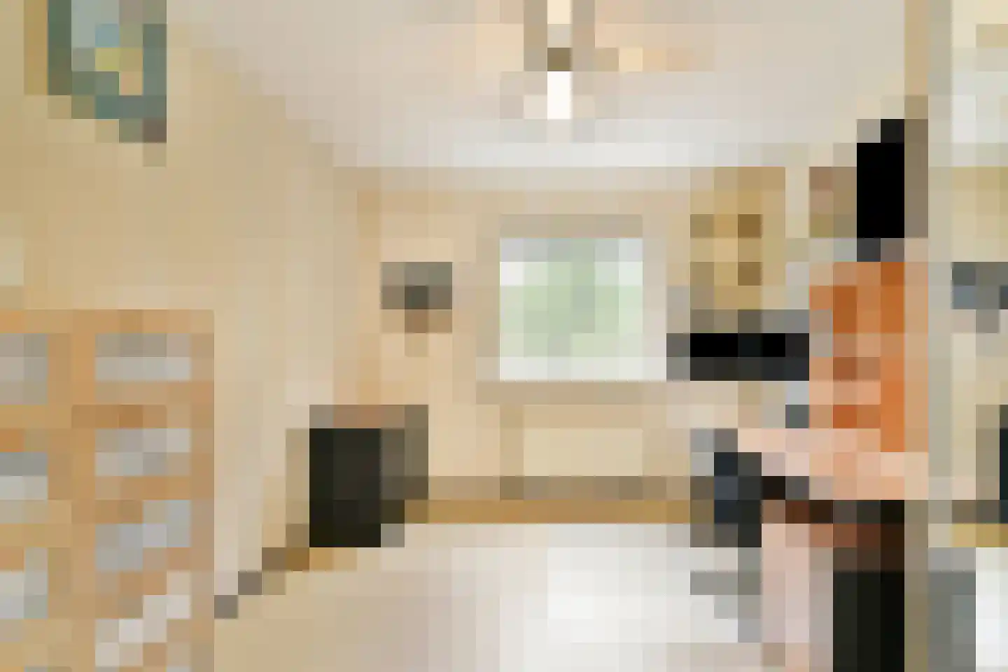 Boris Pasternakstraat 54 Rotterdam thumbnail 9
