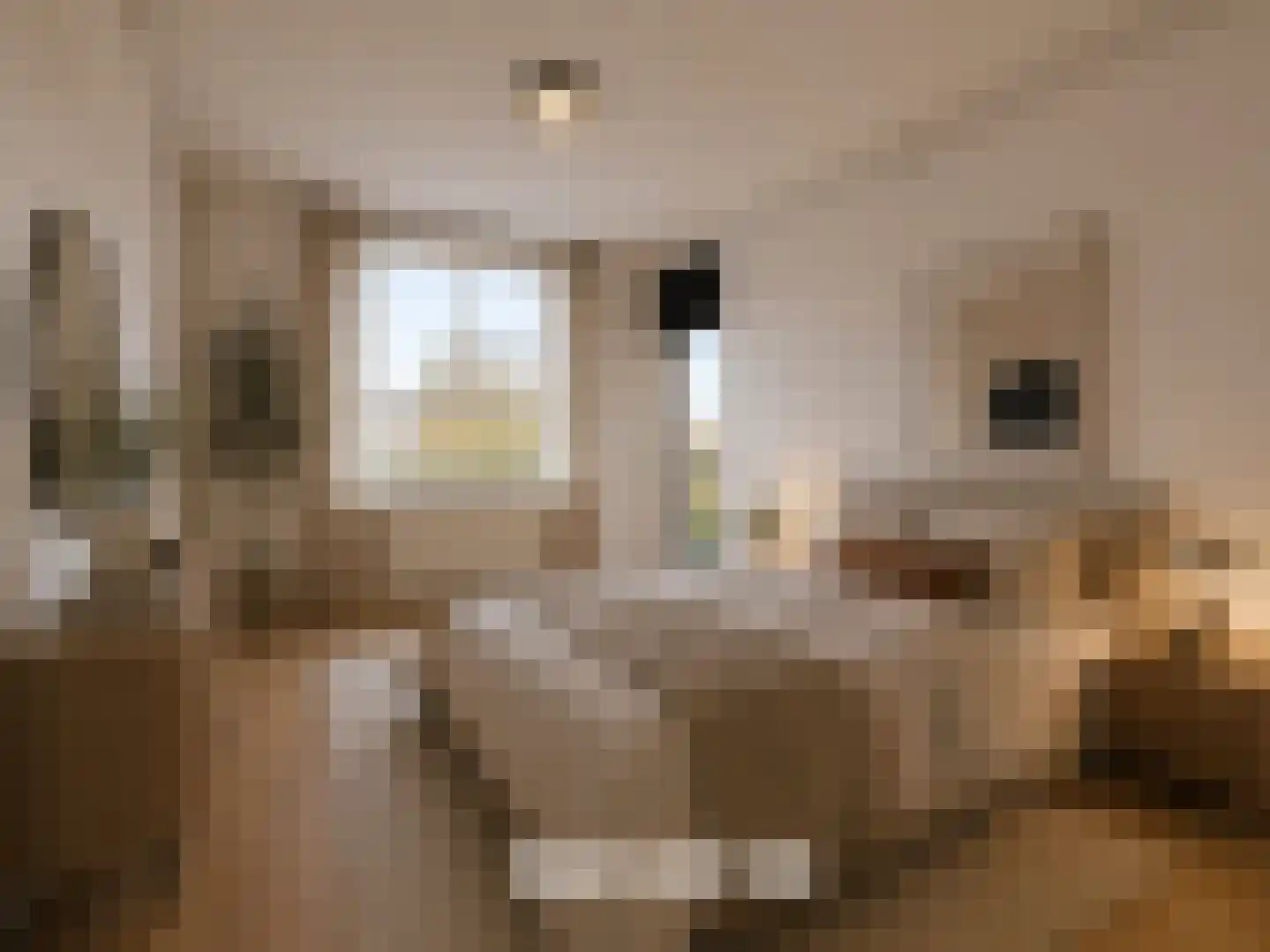 Boris Pasternakstraat 589 Amsterdam thumbnail 13