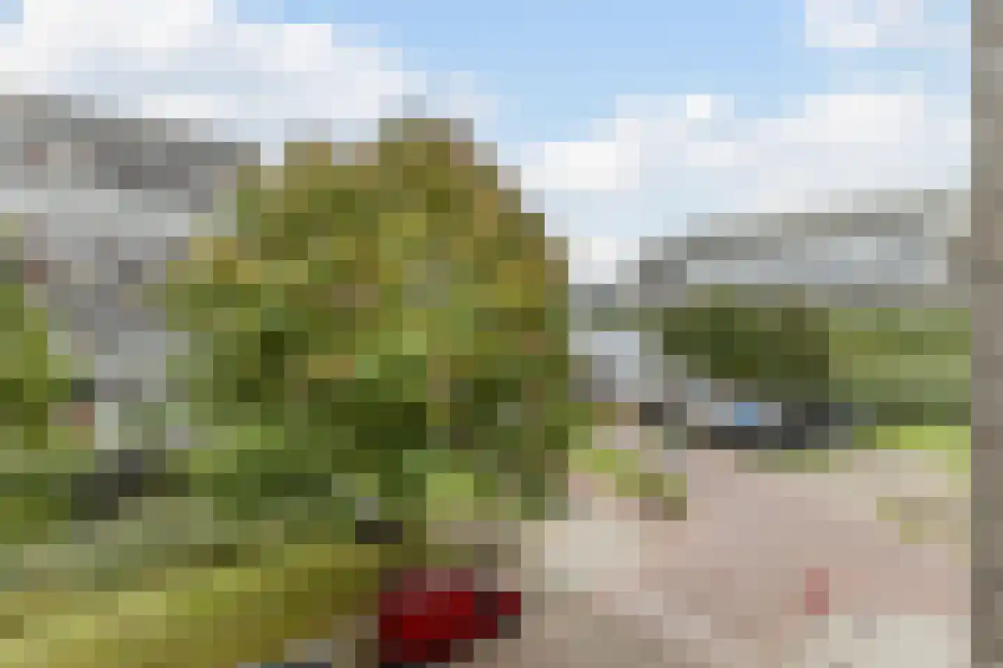 Boris Pasternakstraat 589 Amsterdam thumbnail 29