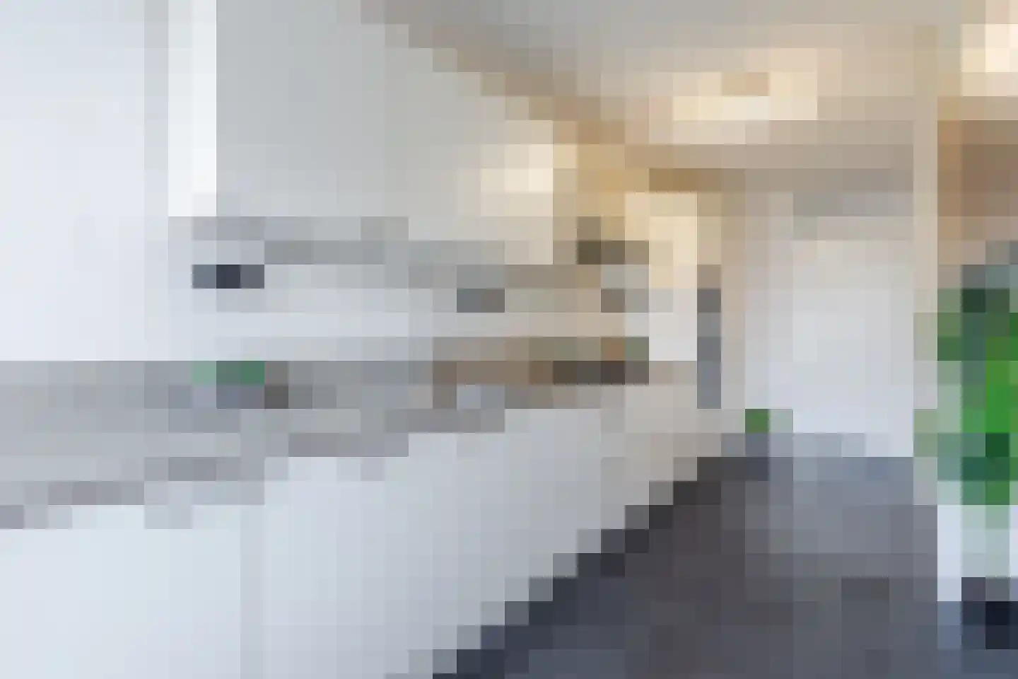 Boris Pasternakstraat 589 Amsterdam thumbnail 5