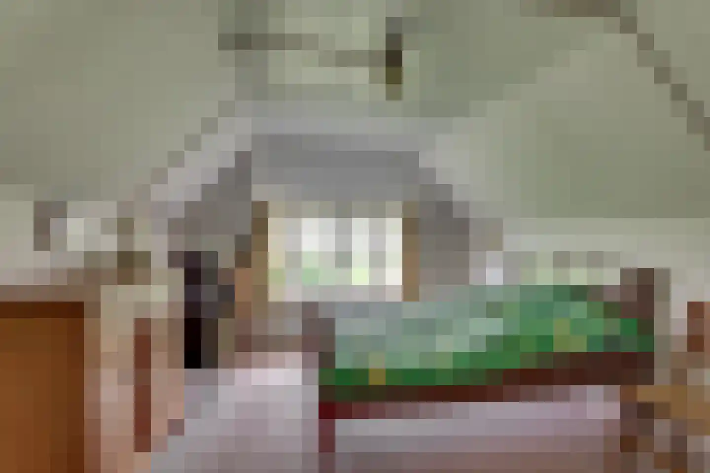Borkeldsweg 95 Holten thumbnail 19
