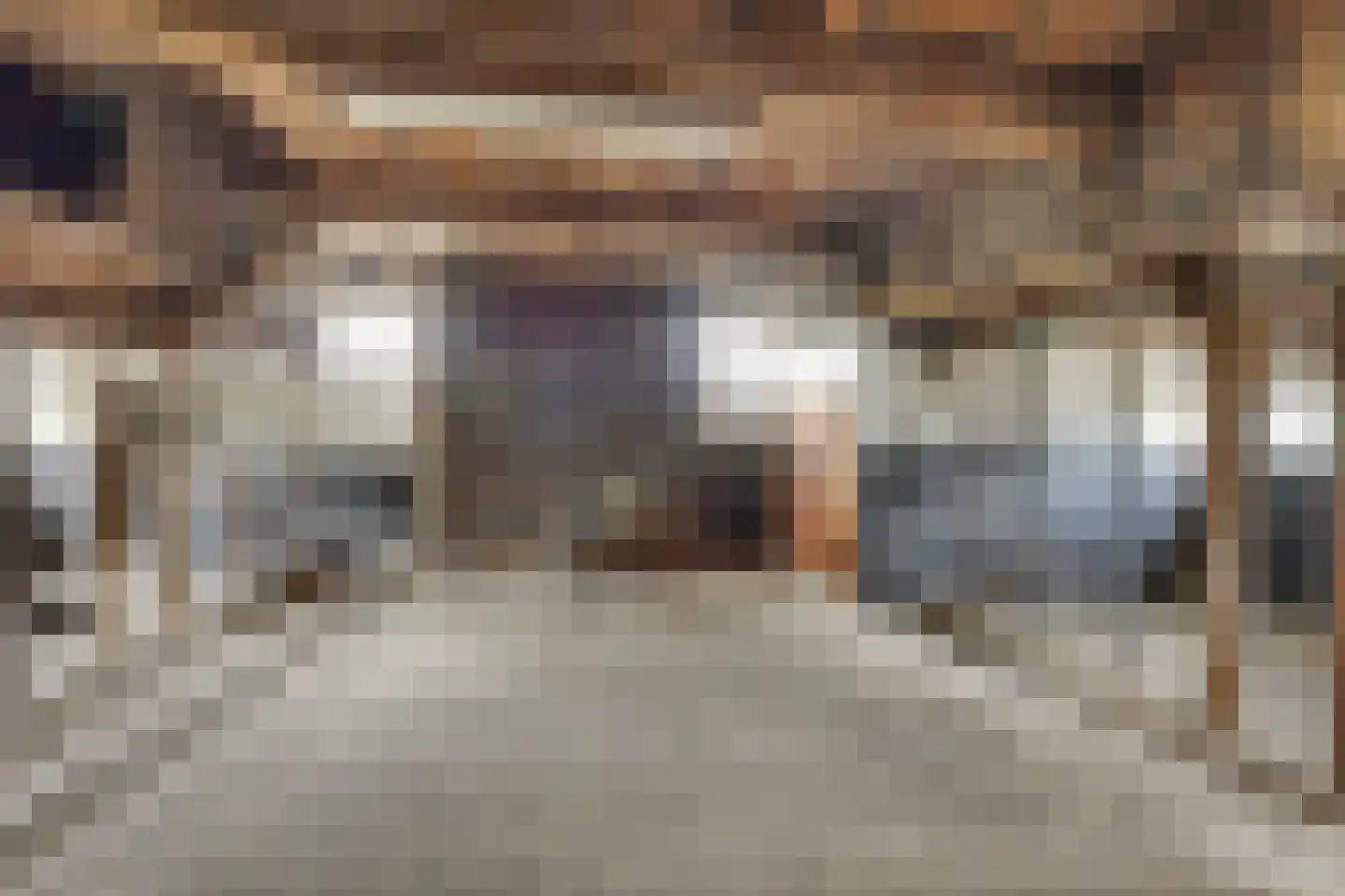Borkeldsweg 95 Holten thumbnail 20
