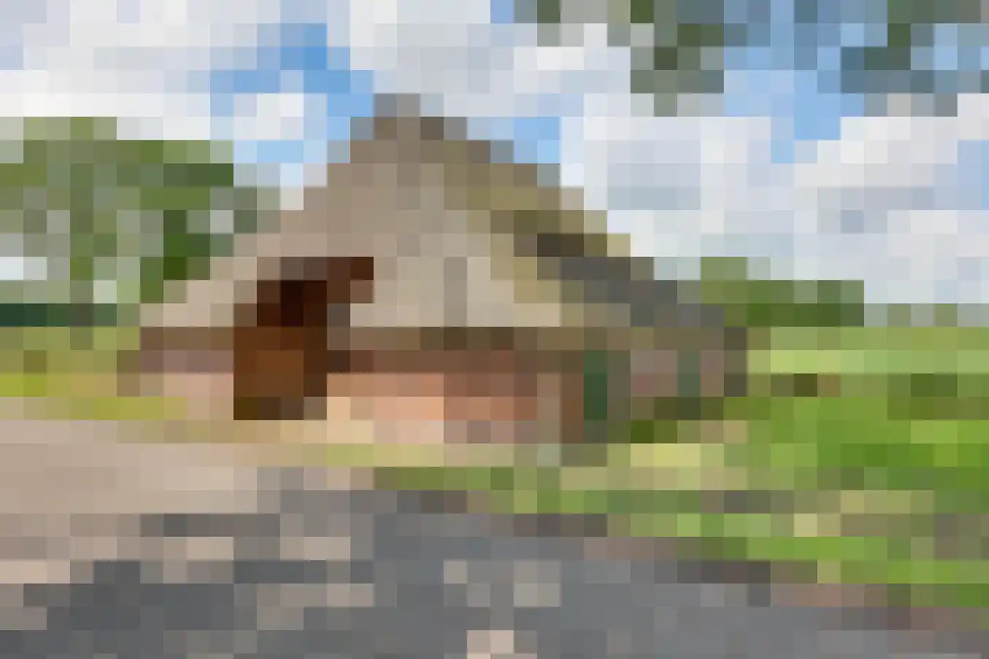 Borkeldsweg 95 Holten thumbnail 22