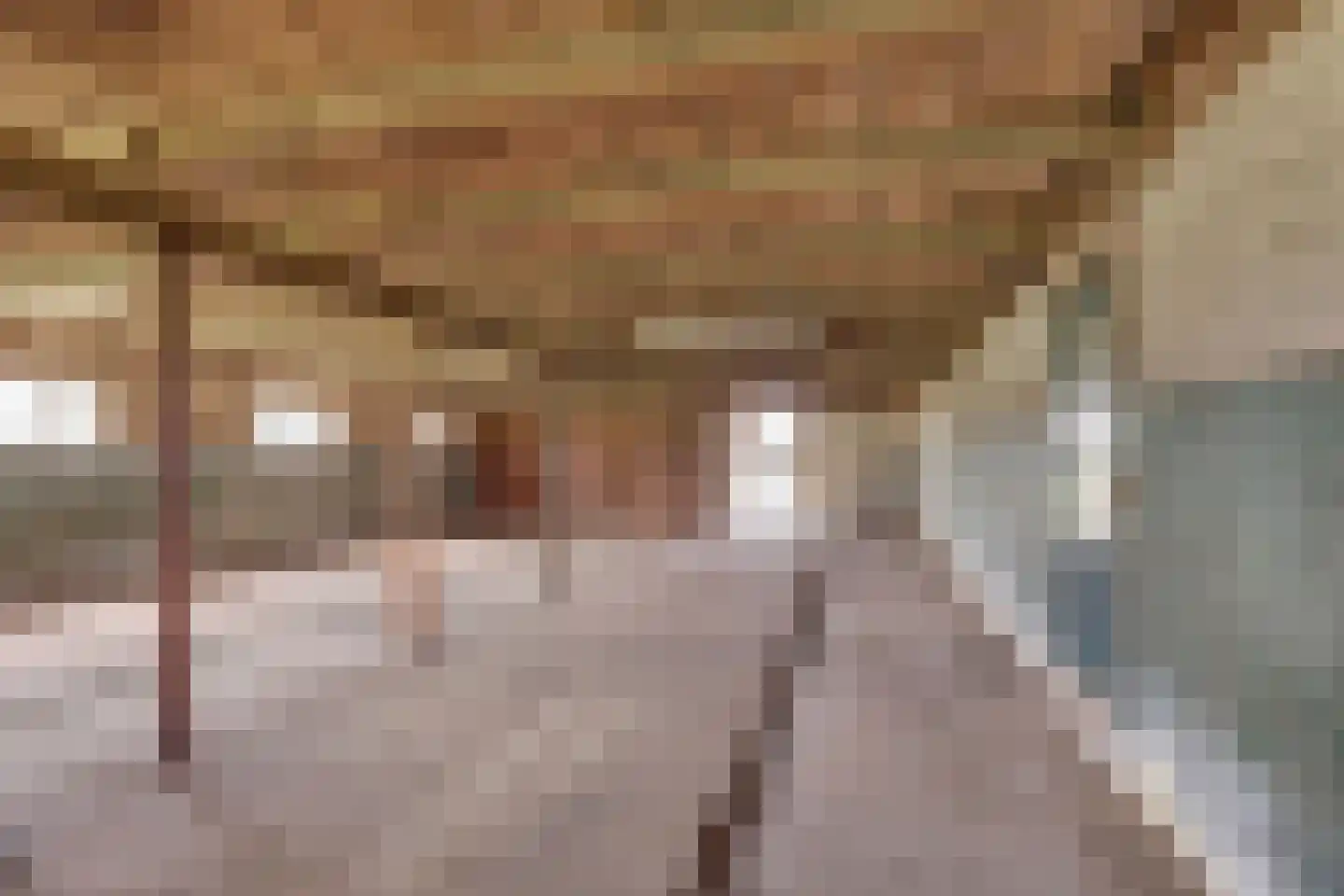 Borkeldsweg 95 Holten thumbnail 30