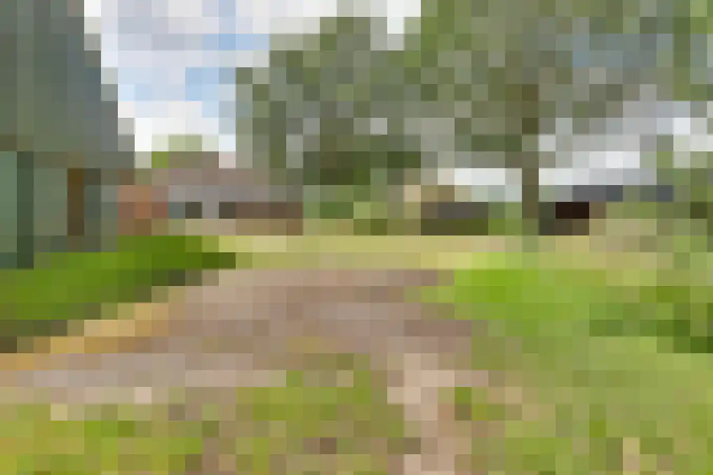 Borkeldsweg 95 Holten thumbnail 32