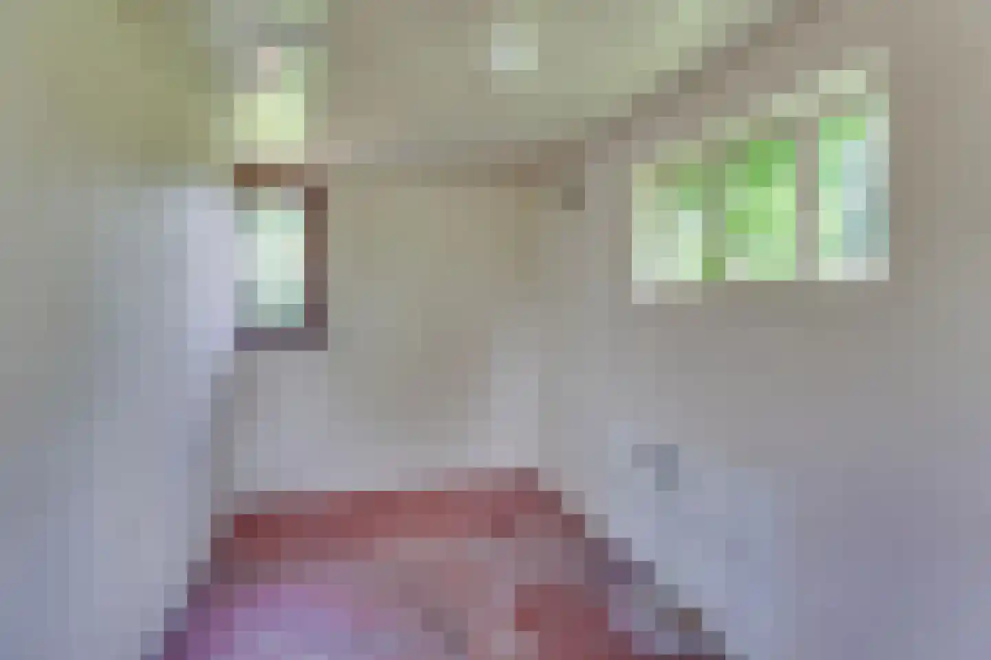 Borkeldsweg 95 Holten thumbnail 36
