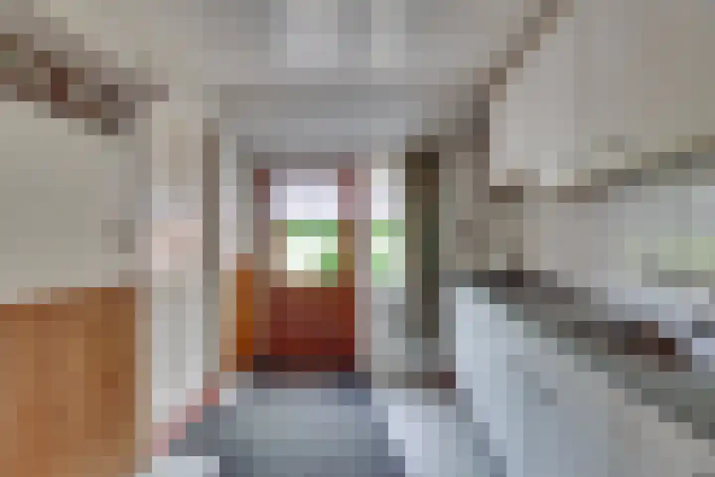 Borkeldsweg 95 Holten thumbnail 4