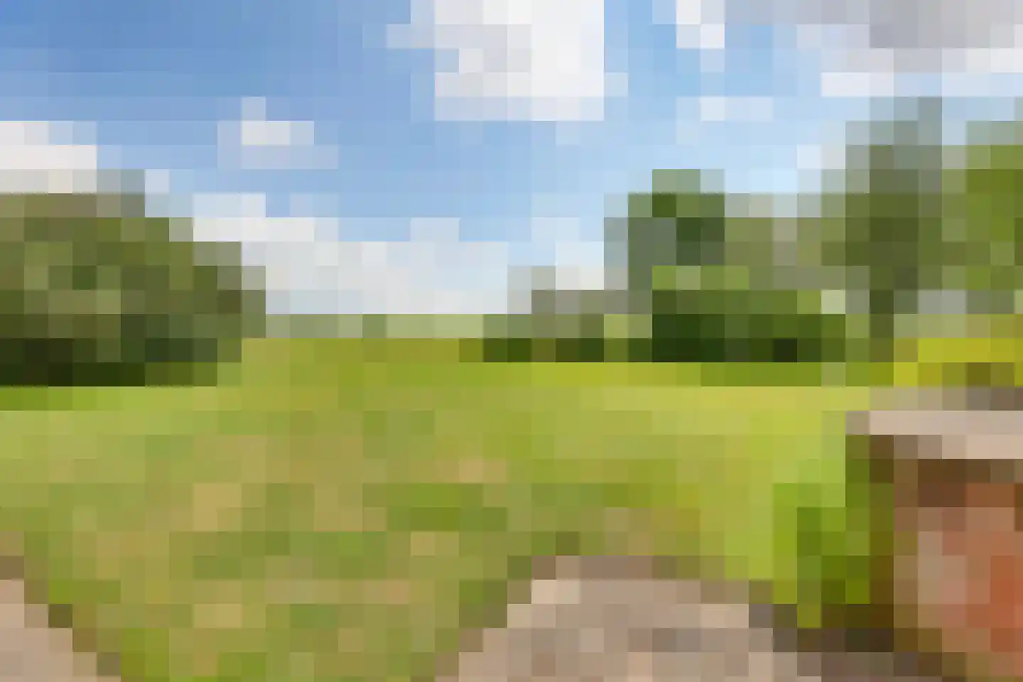 Borkeldsweg 95 Holten thumbnail 46