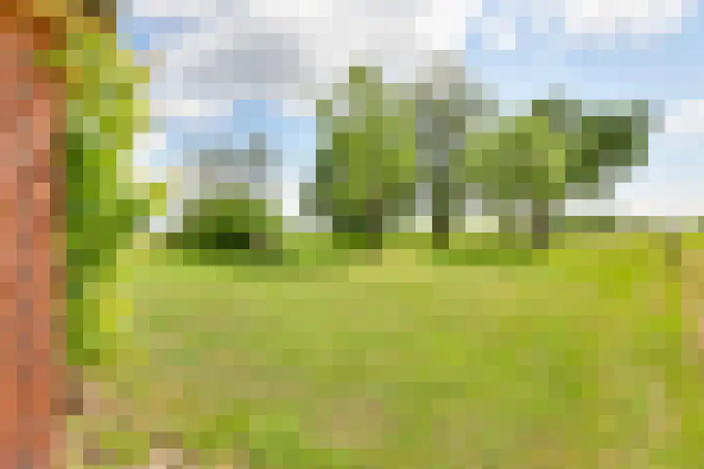 Borkeldsweg 95 Holten thumbnail 47