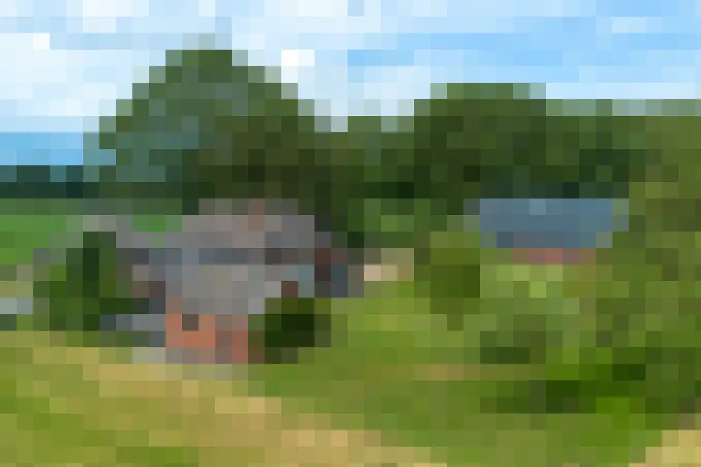 Borkeldsweg 95 Holten thumbnail 48