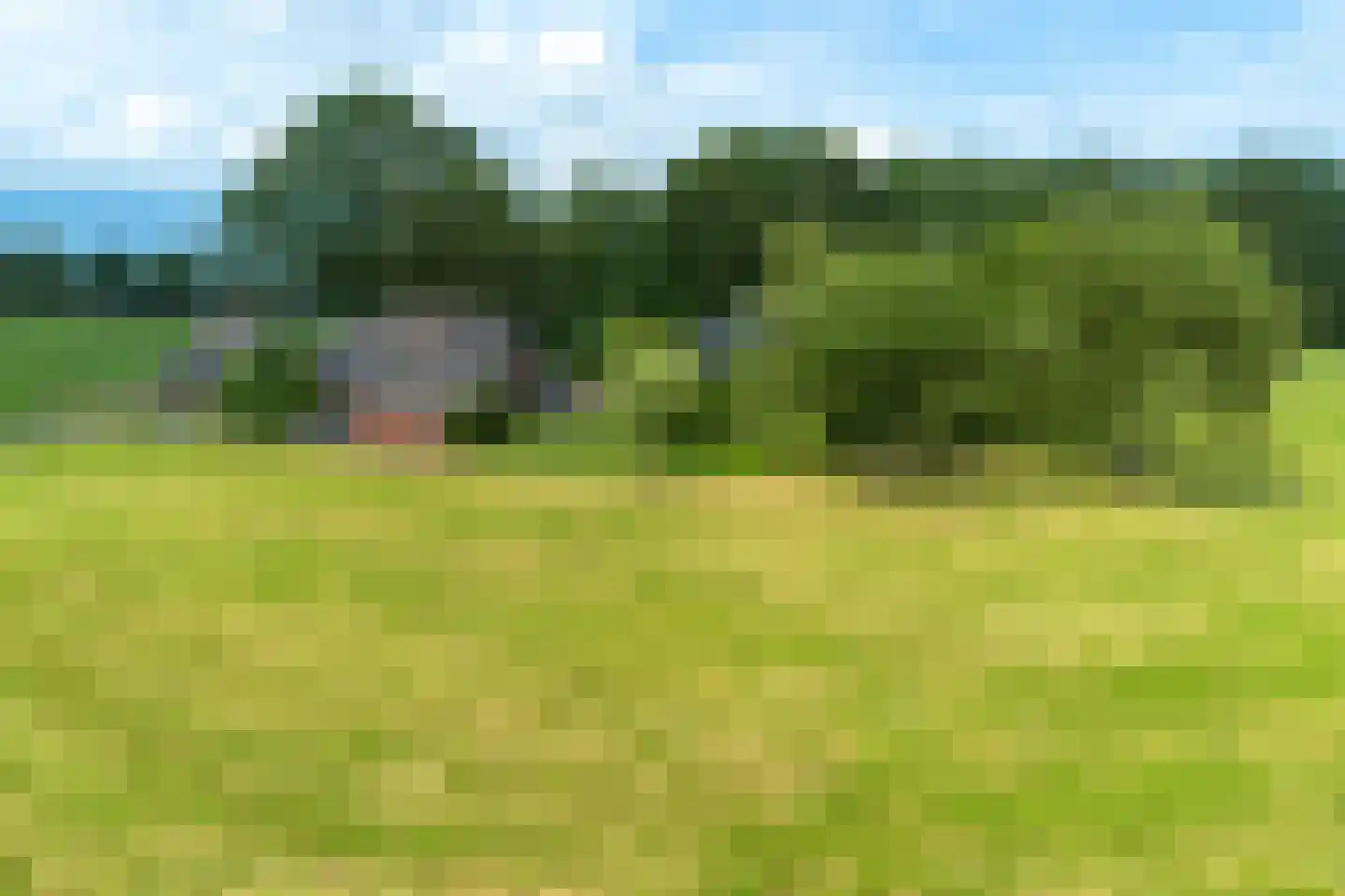 Borkeldsweg 95 Holten thumbnail 49