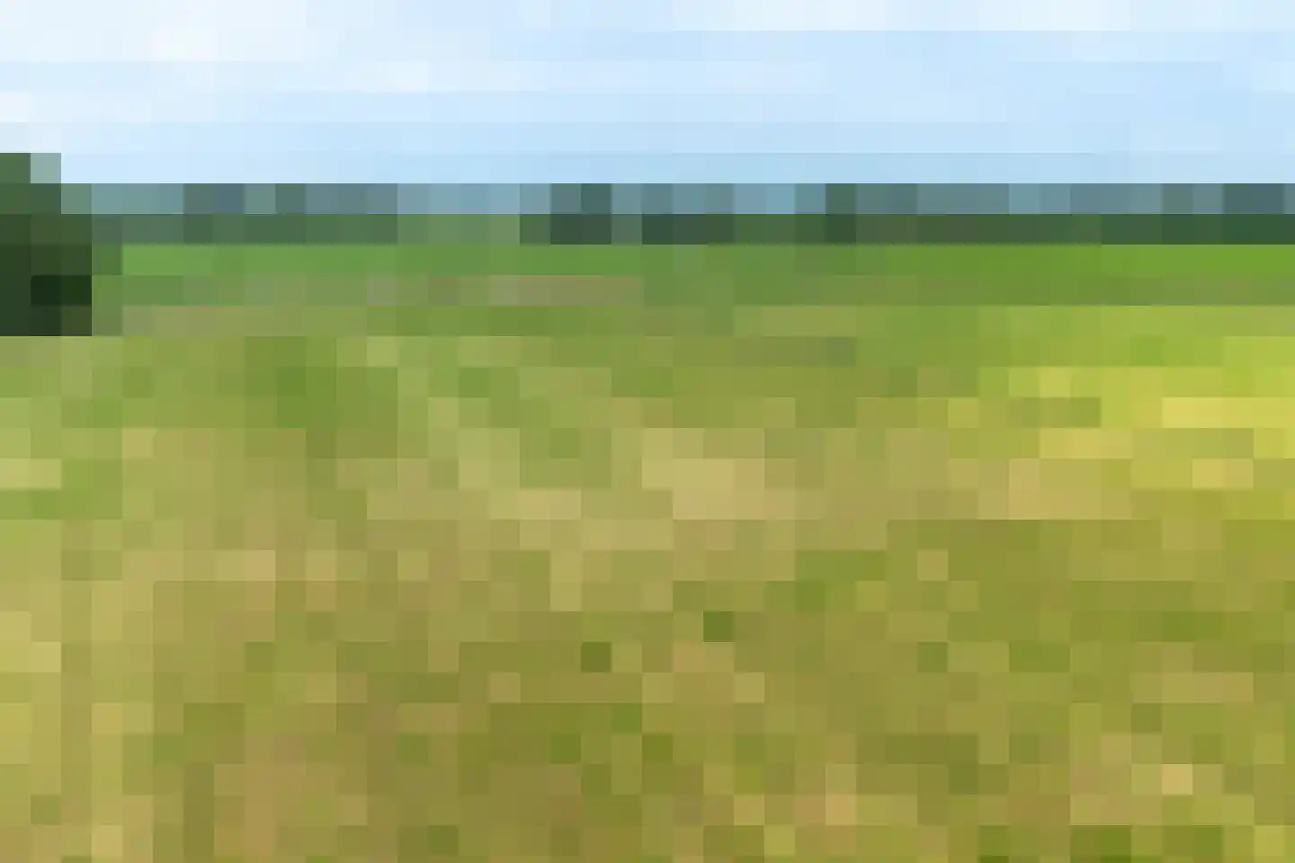 Borkeldsweg 95 Holten thumbnail 52