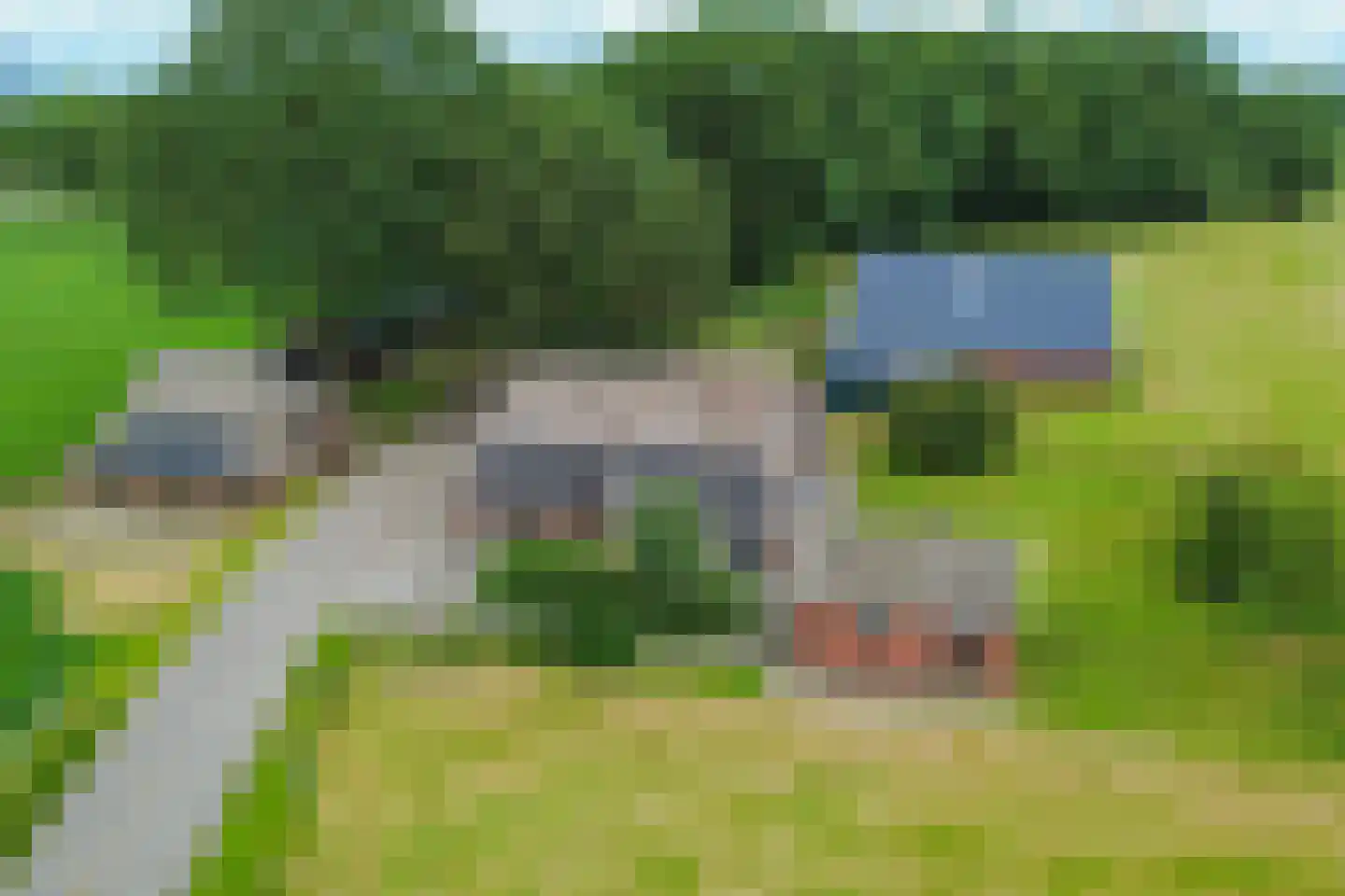 Borkeldsweg 95 Holten thumbnail 56