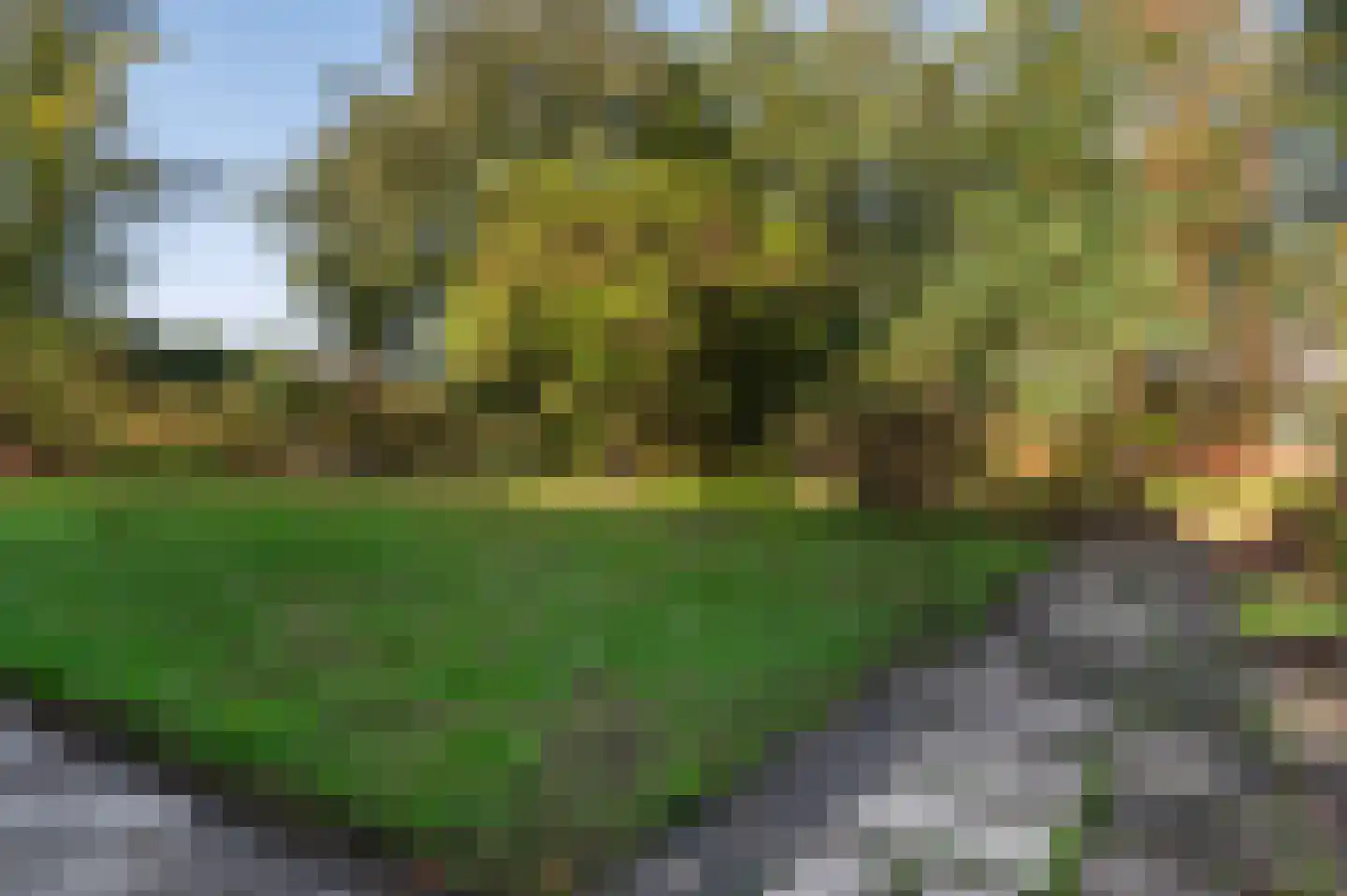 Borkeldweg 21 Markelo thumbnail 11