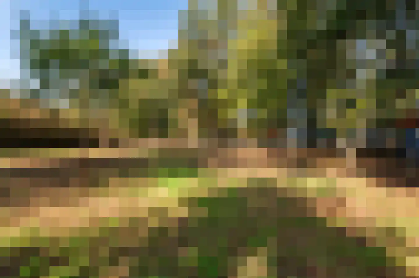 Borkeldweg 21 Markelo thumbnail 12