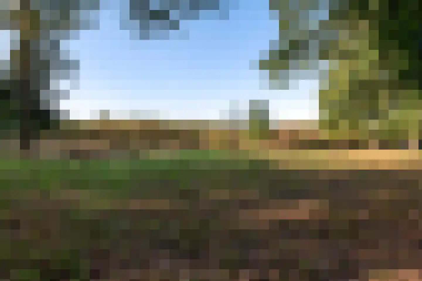 Borkeldweg 21 Markelo thumbnail 13