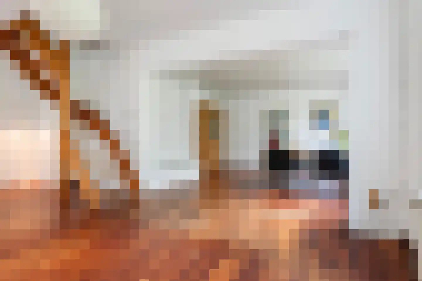 Borkeldweg 21 Markelo thumbnail 20
