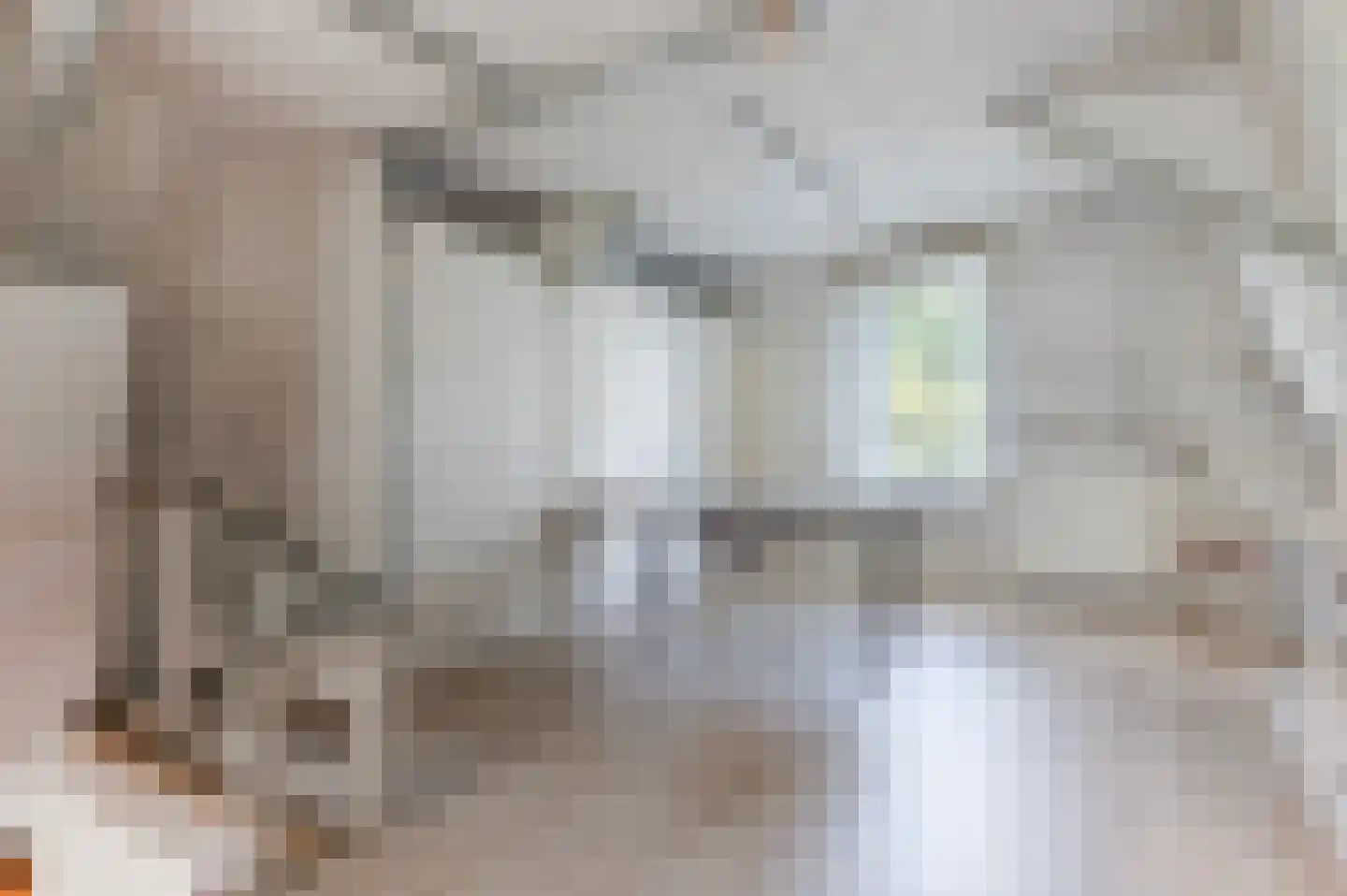 Borkeldweg 21 Markelo thumbnail 34