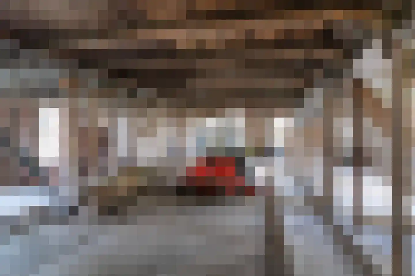Borkeldweg 21 Markelo thumbnail 39