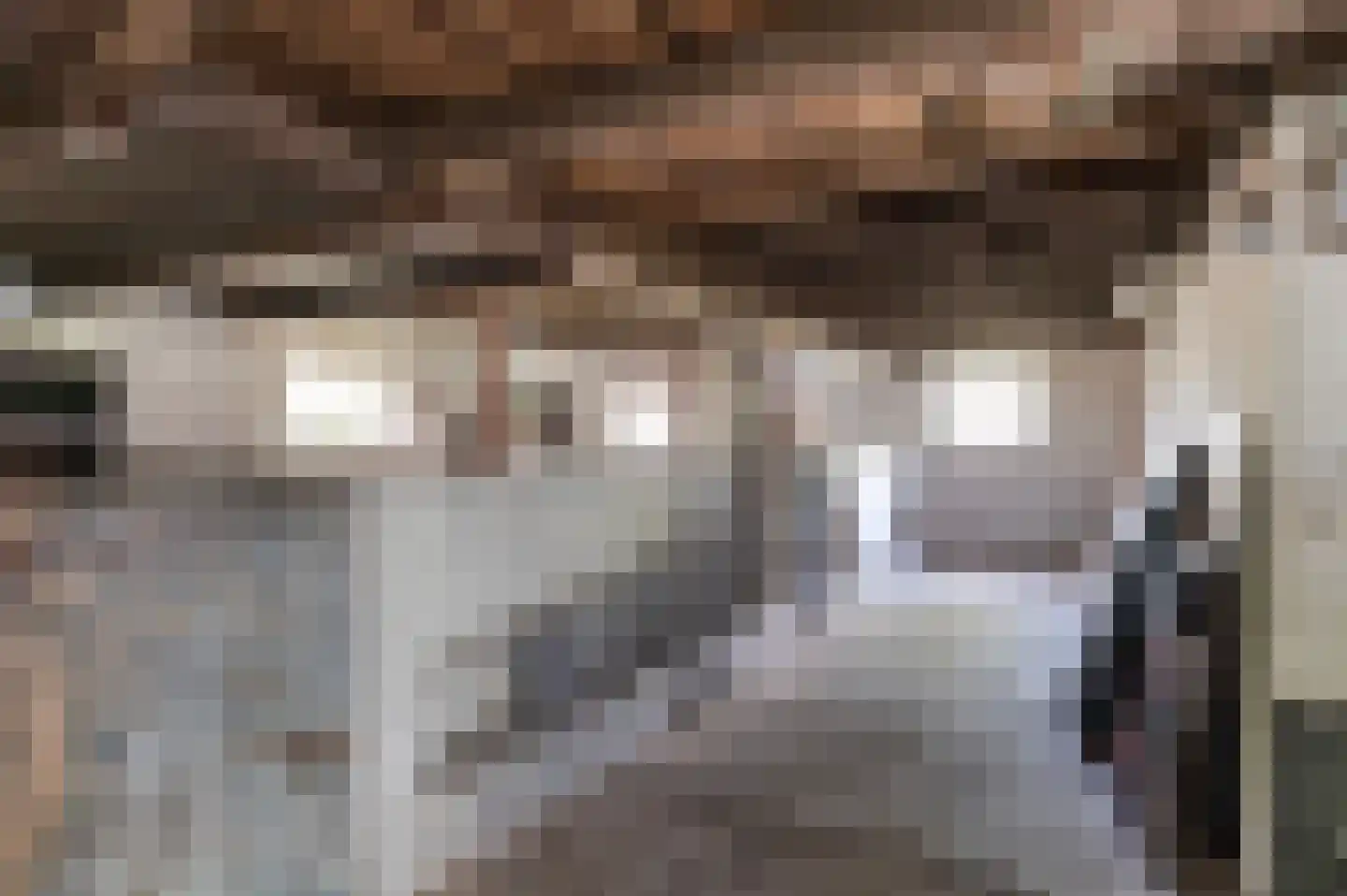 Borkeldweg 21 Markelo thumbnail 40