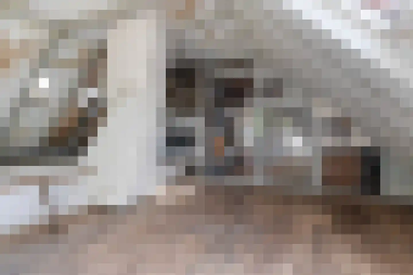 Borkeldweg 21 Markelo thumbnail 41