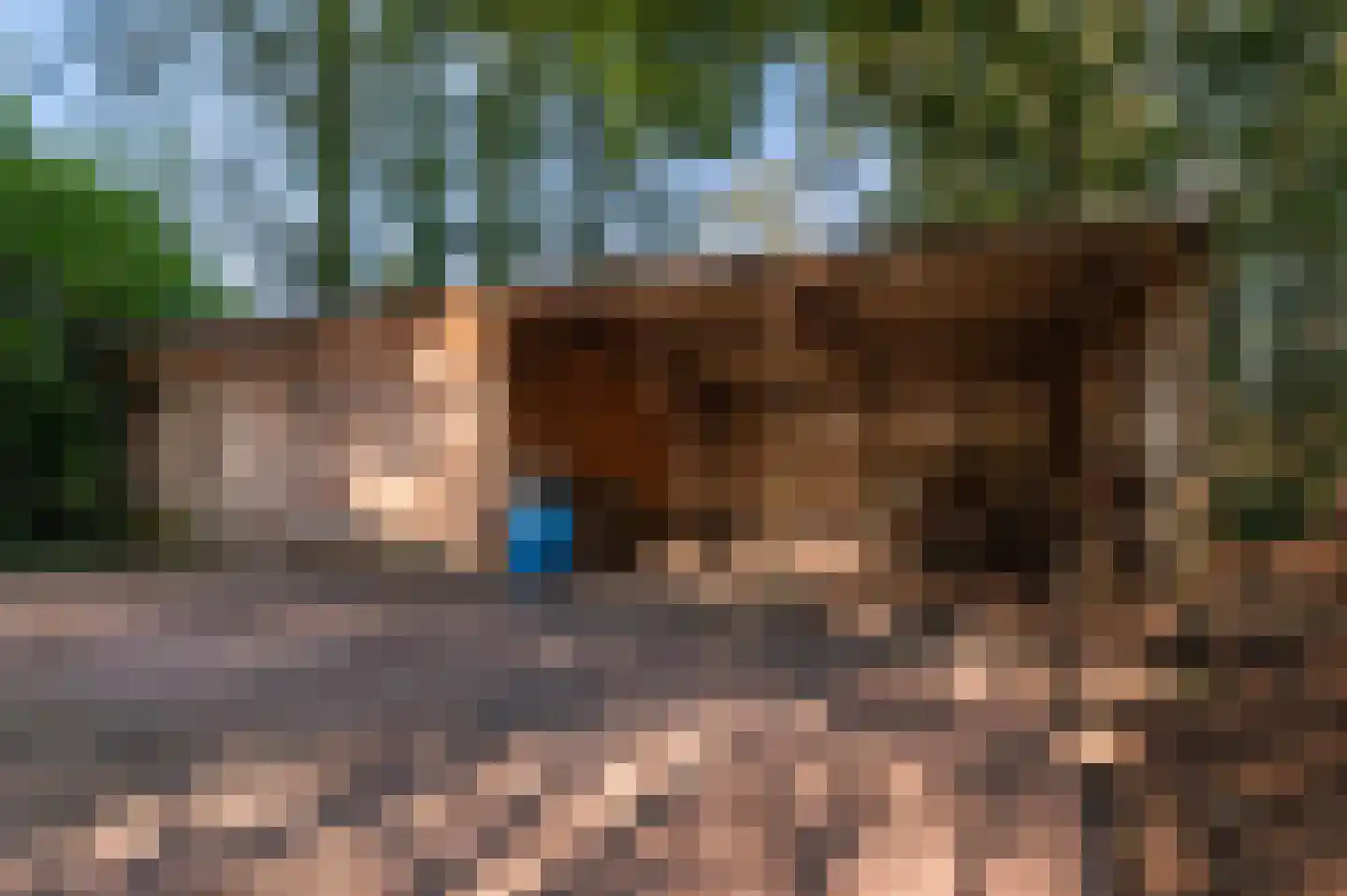 Borkeldweg 21 Markelo thumbnail 43