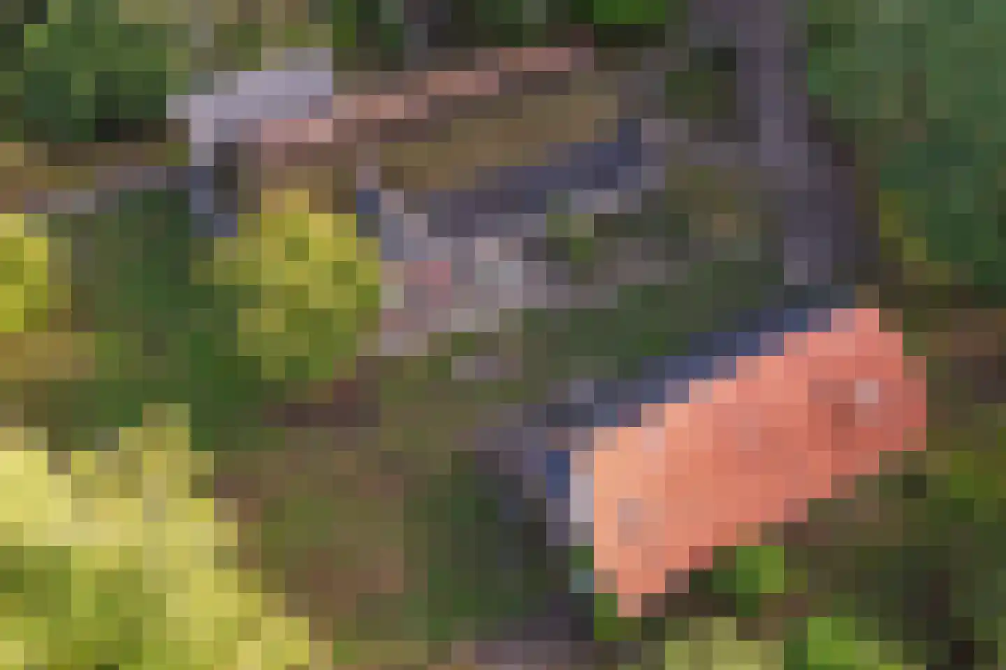 Borkeldweg 21 Markelo thumbnail 44