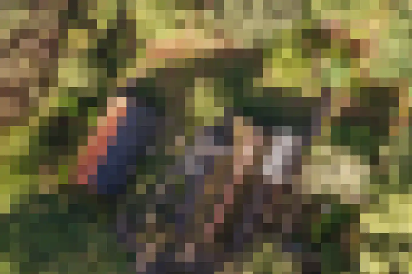 Borkeldweg 21 Markelo thumbnail 46