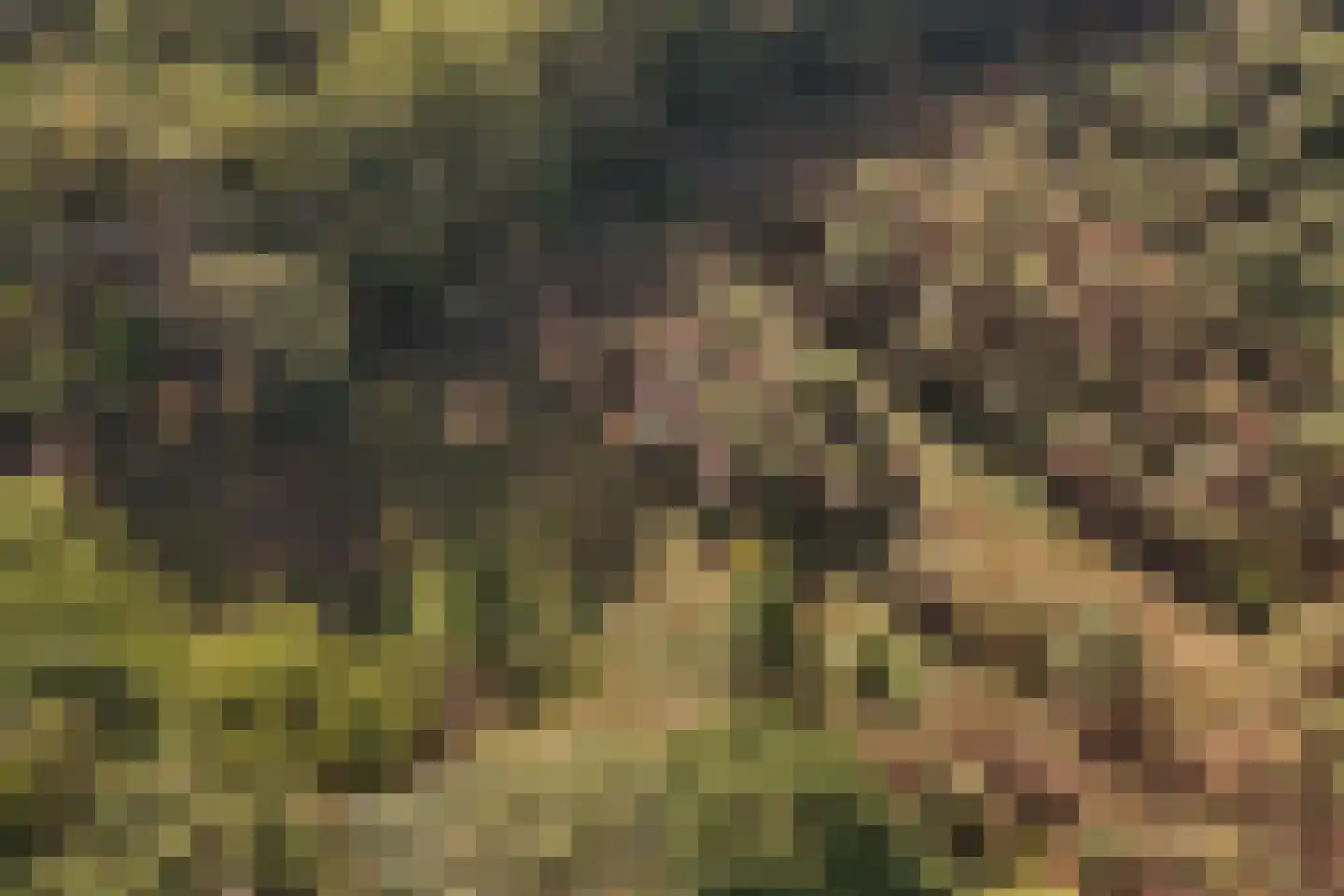 Borkeldweg 21 Markelo thumbnail 47