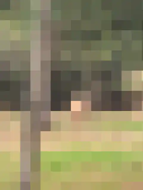 Borkeldweg 21 Markelo thumbnail 48