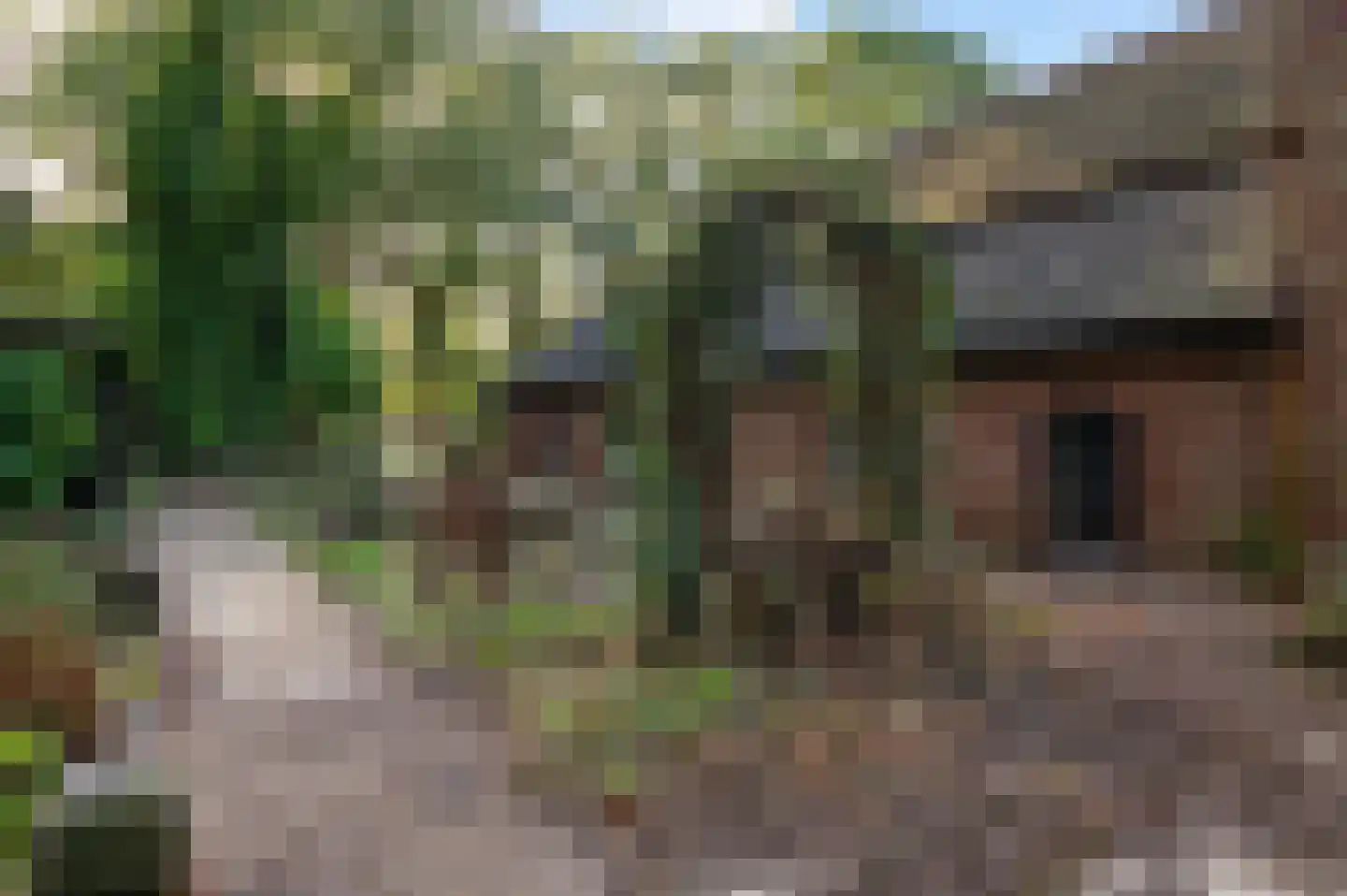 Borkeldweg 21 Markelo thumbnail 5