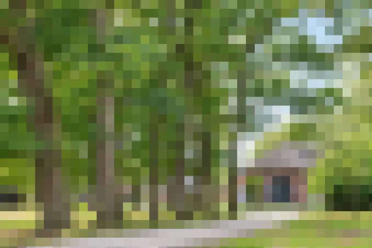 Borkeldweg 21 Markelo thumbnail 51