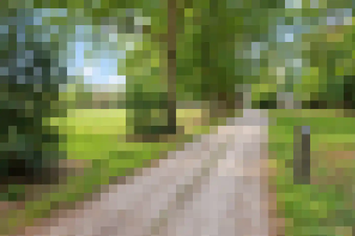Borkeldweg 21 Markelo thumbnail 52