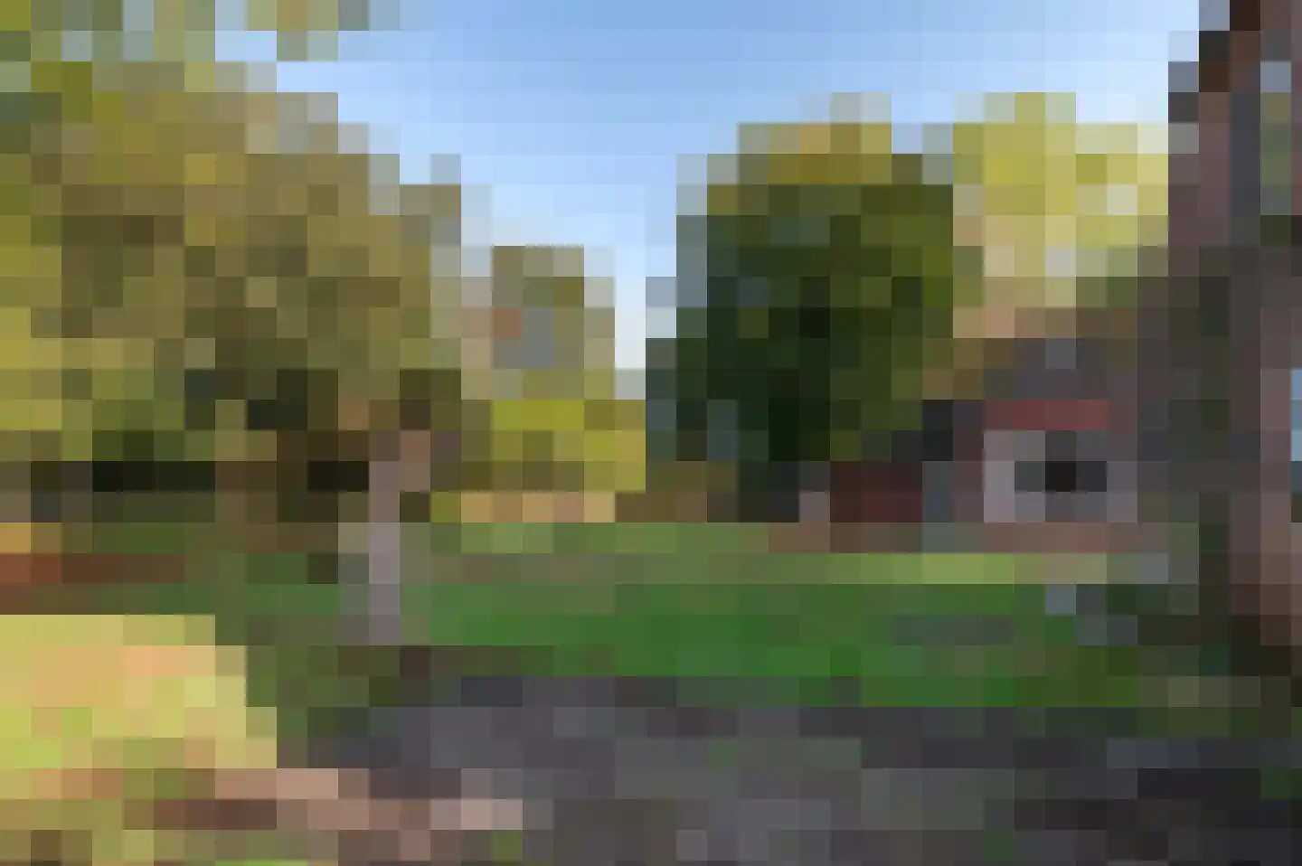 Borkeldweg 21 Markelo thumbnail 6