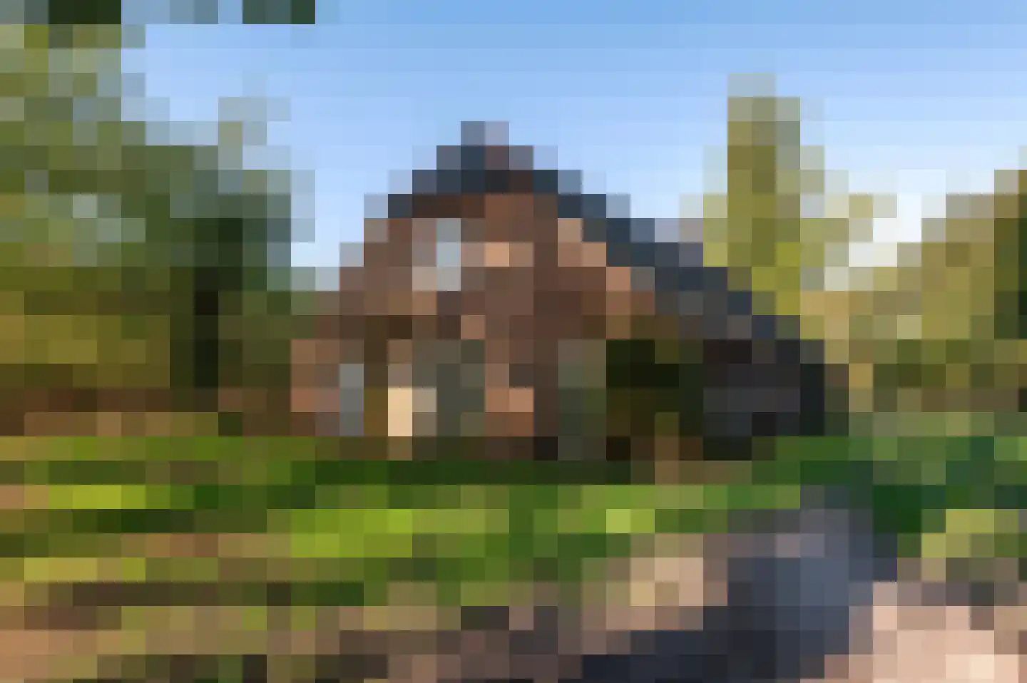 Borkeldweg 21 Markelo thumbnail 8