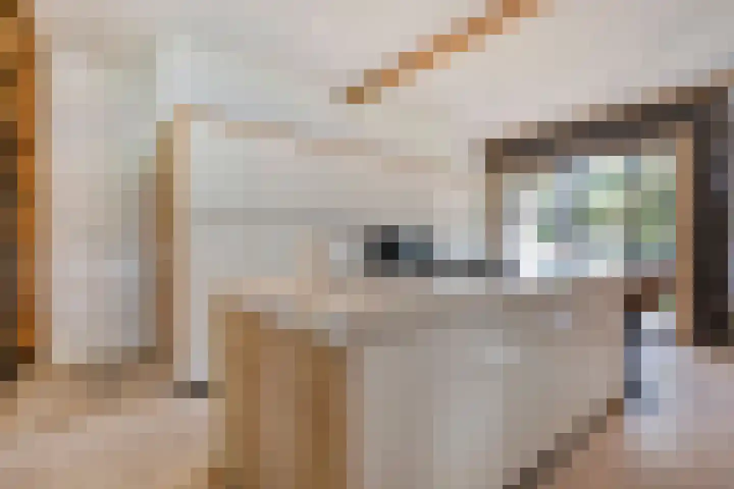Borkeldweg 3 Markelo thumbnail 10