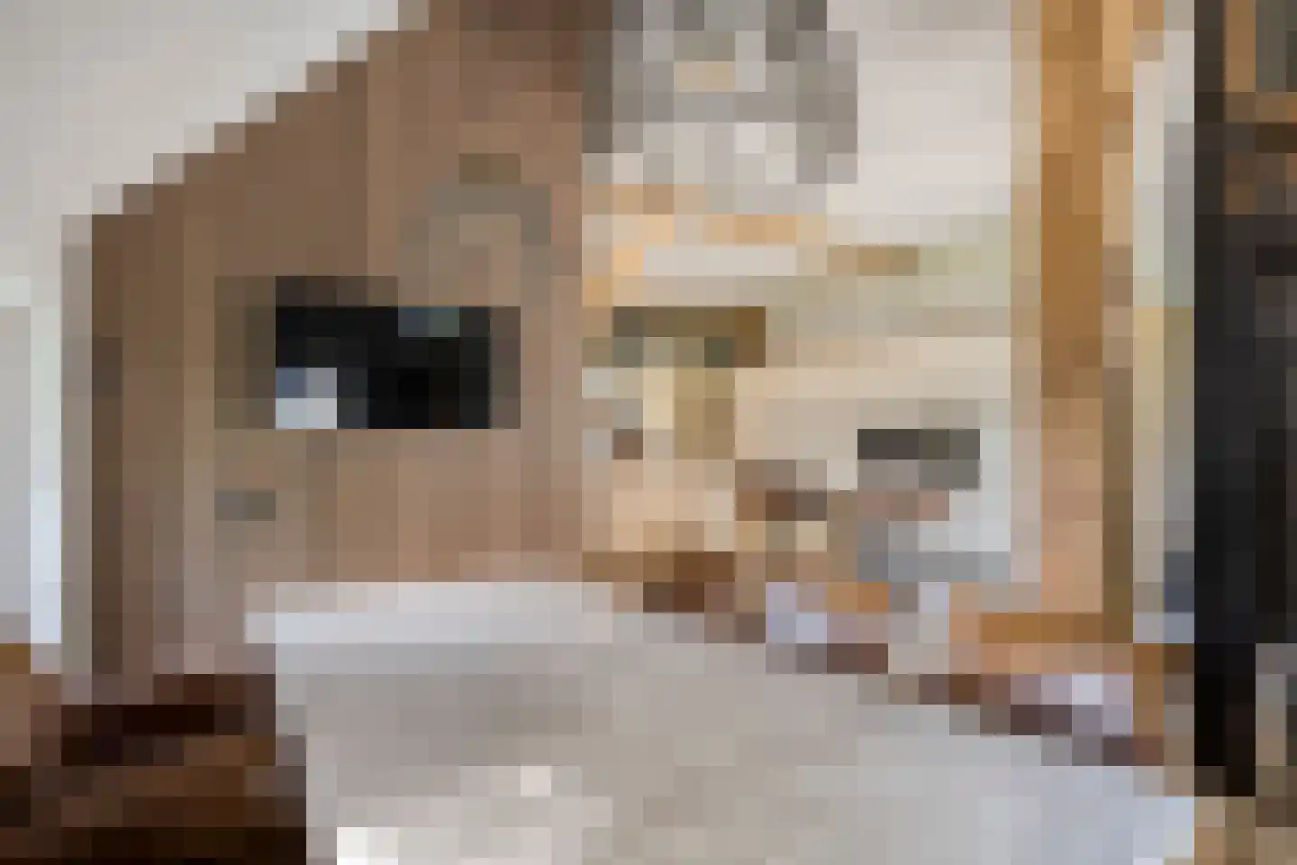 Borkeldweg 3 Markelo thumbnail 12
